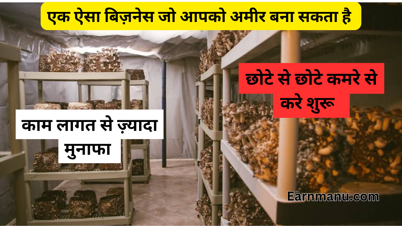 मशरूम की खेती: एक ऐसा व्यवसाय जो आपको अमीर बना सकत - Mushroom Farming