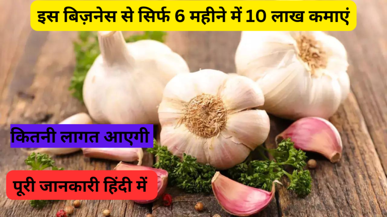 इस बिजनेस से कमाई 10 लाख सिर्फ 6 महीनों में - Garlic Farming in Hindi 2024